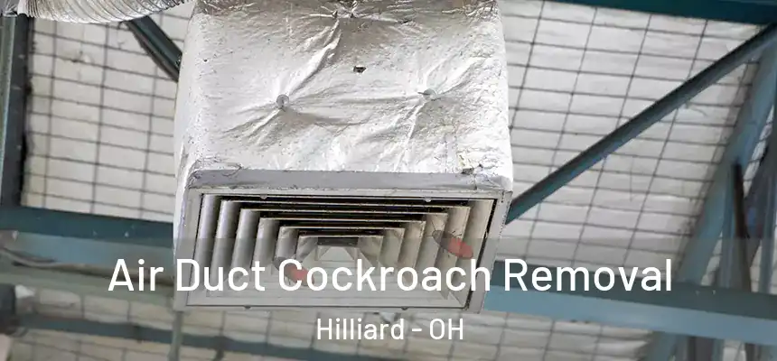 Air Duct Cockroach Removal Hilliard - OH
