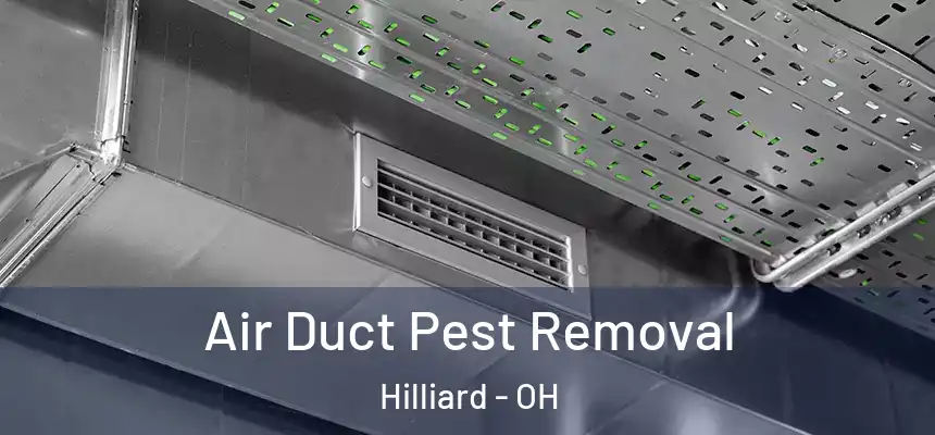 Air Duct Pest Removal Hilliard - OH