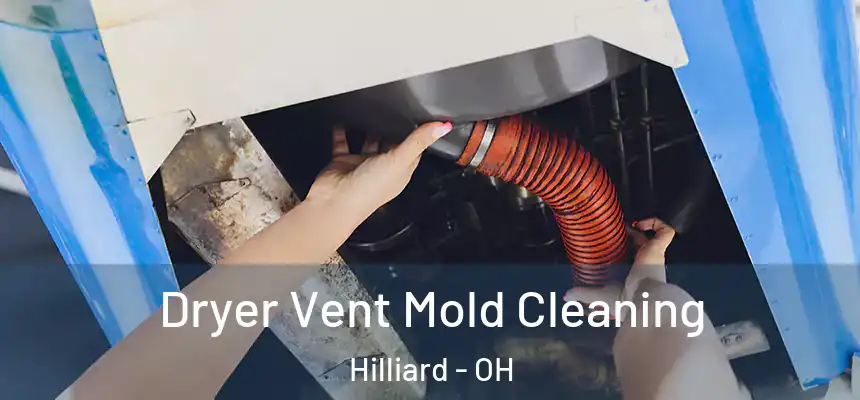 Dryer Vent Mold Cleaning Hilliard - OH