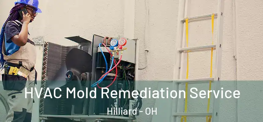  HVAC Mold Remediation Service Hilliard - OH