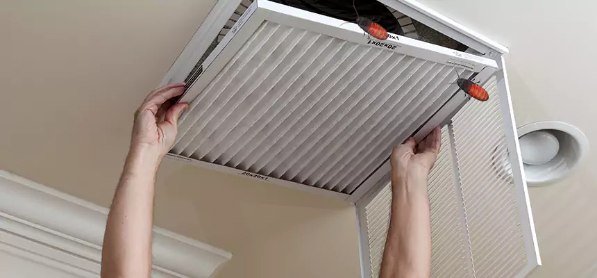 Preventive Cockroach-Proofing for Ducts in Hilliard