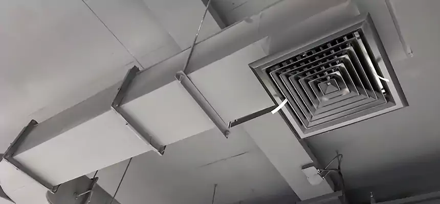 Restorative Allergy Relief Vent Cleaning – Coil, Blower & Housing Detail in Hilliard