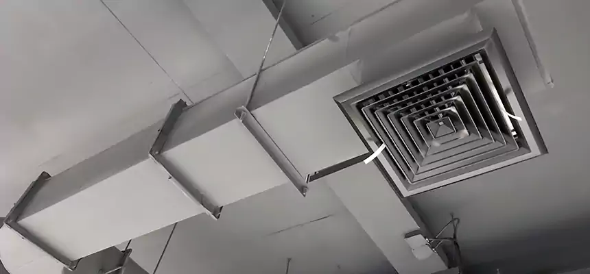 Our Pest Removal From Ducts Services in Hilliard, OH