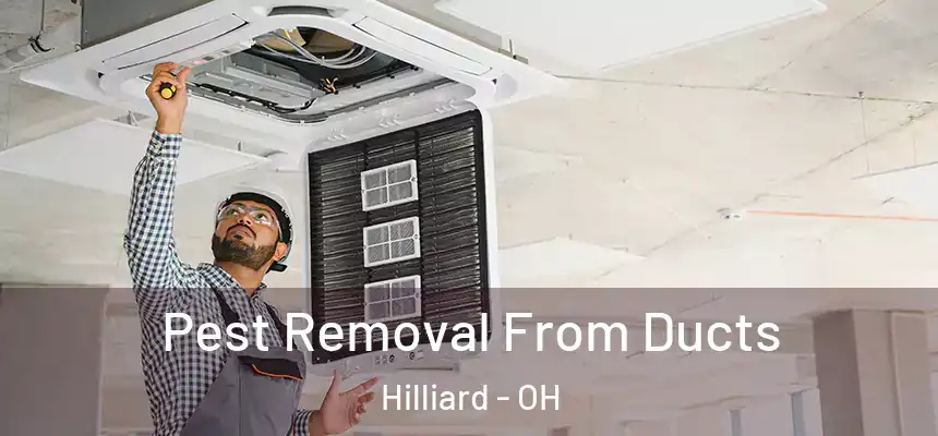 Pest Removal From Ducts Hilliard - OH