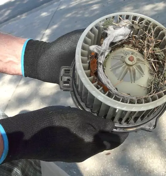 About Air Duct Rat Removal in Hilliard, OH